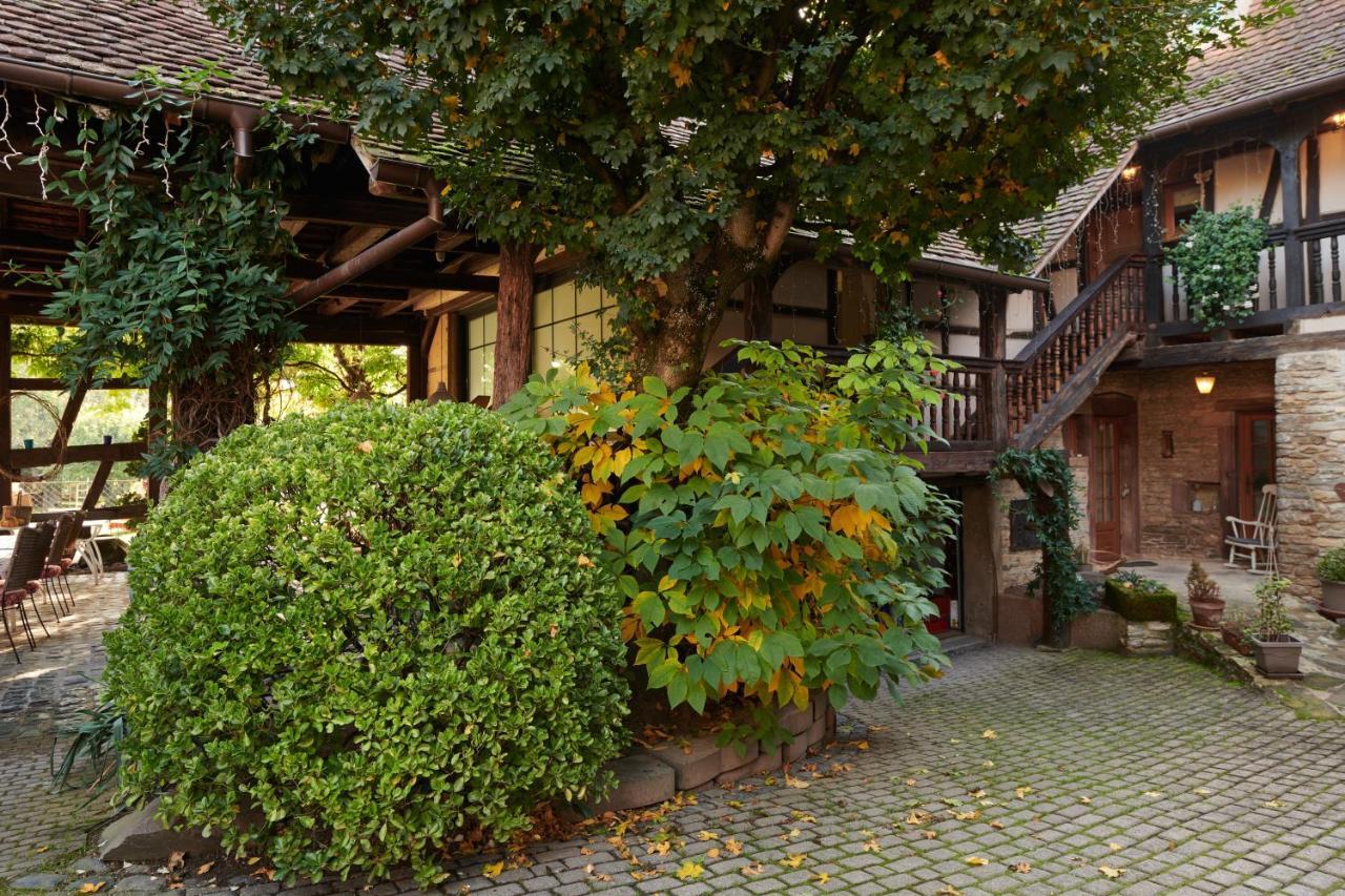 La Cour De Lise Maison D'Hotes Et Spa Willgottheim Exterior photo